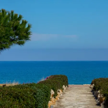 Hector - Sandy Beach *